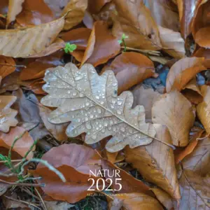 Natur Kalender 2025 - 50x70cm - Titelbild