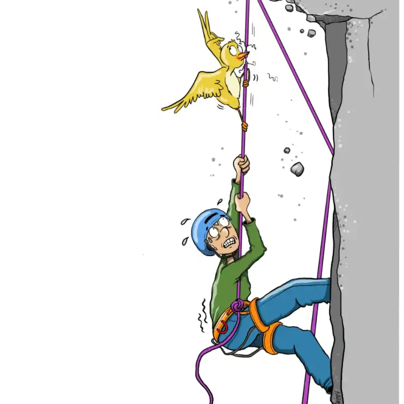 Bird freeing a climber